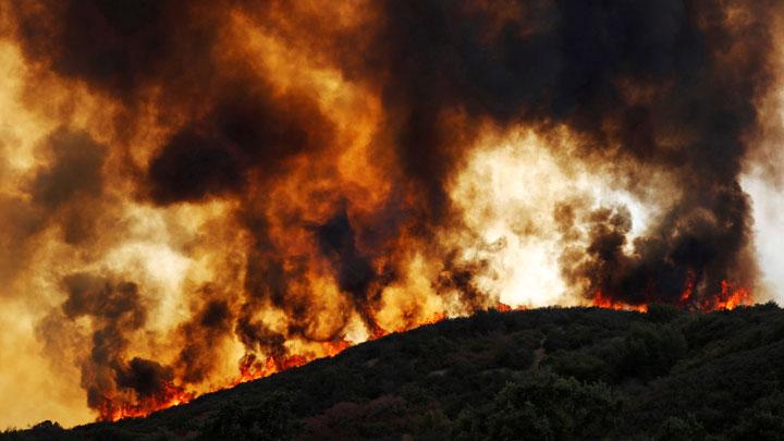 Musim Kemarau Tiba, BPBD Banten: Waspadai Kebakaran Hutan dan Permukiman