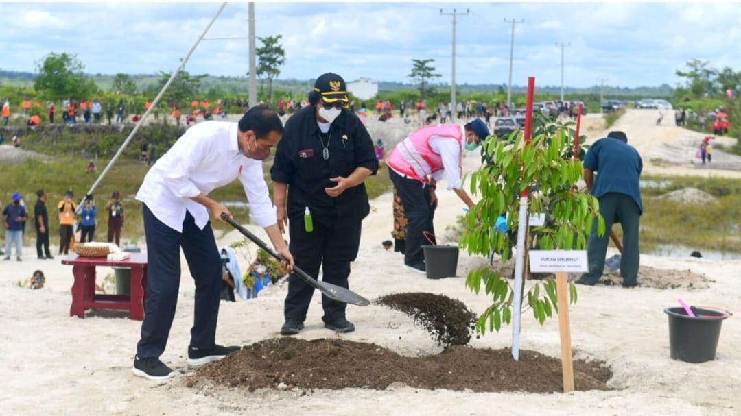 Rehabilitasi Kerusakan Hutan, Presiden Jokowi Tanam Pohon di Area Bekas Tambang