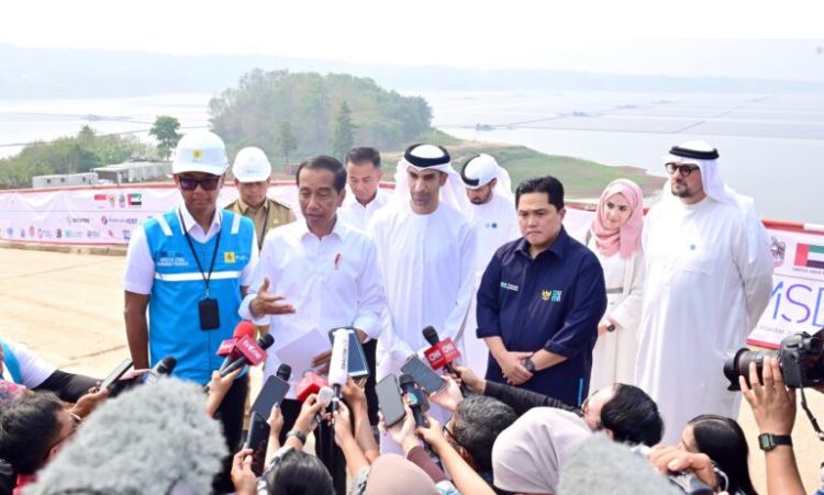 Presiden Jokowi: Keberadaan PLTS Dukung Industri Energi Hijau